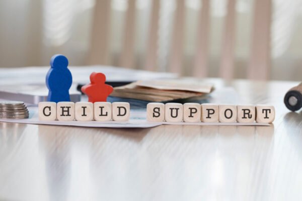 Child Support Guidelines and Calculations