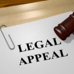 How to Appeal a Criminal Conviction