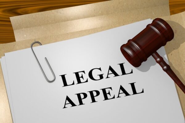 How to Appeal a Criminal Conviction