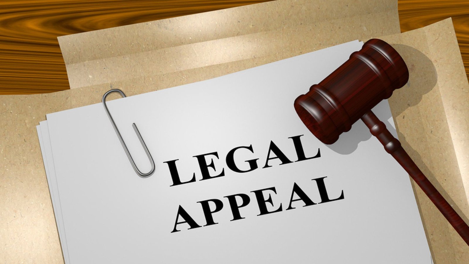 How to Appeal a Criminal Conviction