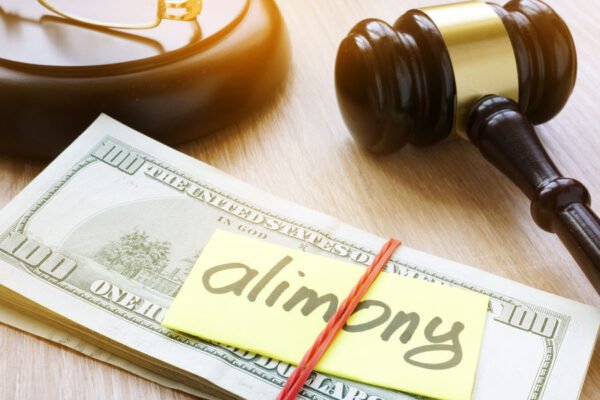 Spousal Support and Alimony