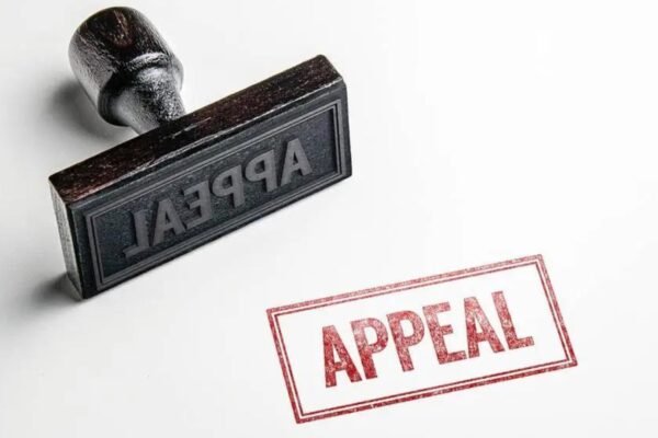 What to Expect During a Criminal Appeal Process