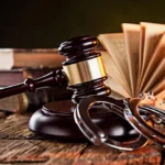 Plea Bargains in Criminal Cases